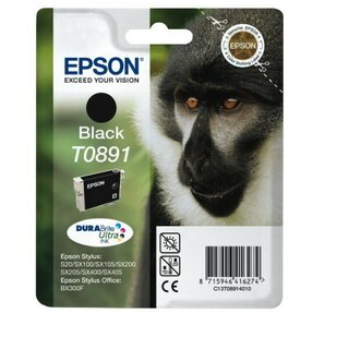 Epson T0891 Tinte C13T08914011 schwarz
