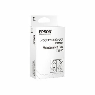 Epson C13T295000 Wartungskit