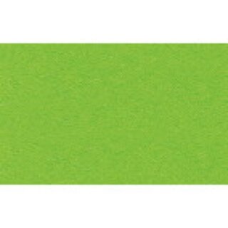 Buntkarton Bähr 1109652, 300g, 50x70cm, tropicgrün, 20 Stück
