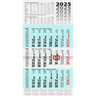 Brunnen 3-Monatskalender 1070210315, 30 x 55,5cm, blau...