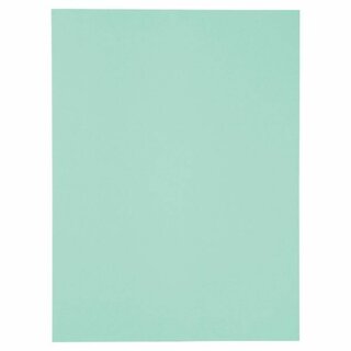 Sammelmappe mit Klappe, A4, 24x32cm, Karton, 250 g/qm,...