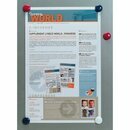 Haftmagnet Lyreco, Durchmesser: 27mm, farbig sortiert, 6...