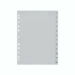 Register Neutral Budget 1-12, A4, aus Kunststoff, 12 Blatt, grau