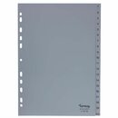 Register Comby Budget 1-20, A4, aus Kunststoff, 20 Blatt,...