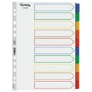 Register Premium blanko, A4, aus Karton, 10 Blatt, farbig