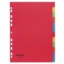 Register blanko, A4, aus Karton, 12 Blatt, farbig