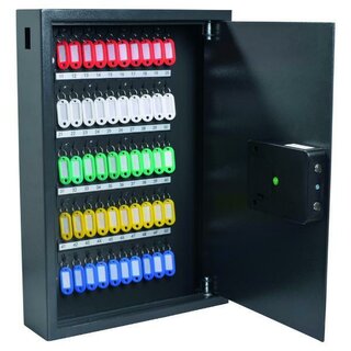 Pavo 8025145 50-Schlüssel-Schrank, Metall,...