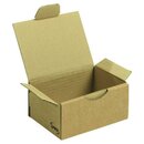 Versandkarton, 430x300x120mm, braun, 50 St�ck