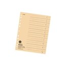 FALKEN Trennblatt, durchgefrbt, Karton (RC), 230 g/qm,...