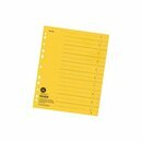 FALKEN Trennblatt, durchgefrbt, Karton (RC), 230 g/qm,...