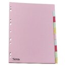 Register Neutral Budget blanko, A4, aus Karton, 10 Blatt,...