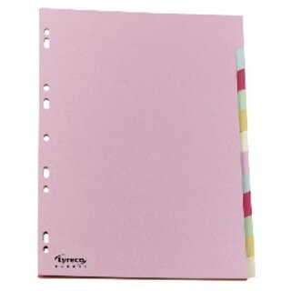Register Comby Budget blanko, A4, aus Karton, 12 Blatt,...