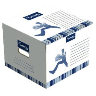 Archivbox Lyreco, Ma�e: 35 x 35 x 28cm, schneller Aufbau