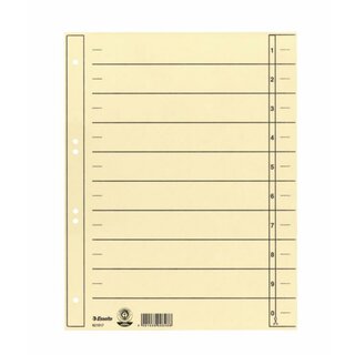 Trennblatt, Kraftk.(RC), 180g/m², Standardloch, A4, cham