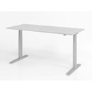 Schreibtisch VXMKA, 120x80cm, grau/silber