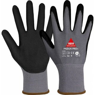 Hase Padua Pro+ Handschuh Touch, Größe: 11, 1 Paar