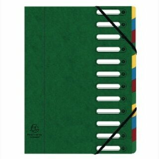 Ordnungsmappe Exacompta 55123E Harmonika, 12 F�cher, mit Gummizug, gr�n