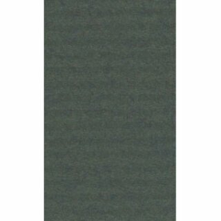 Geschenkpapier Clairefontaine 95755C, Breite: 70cm, L�nge: 3m, gr�n