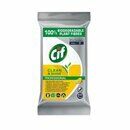 Cif Pro Formula Reinigunst�cher Clean & Shine, biologisch...