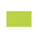 Buntkarton B�hr 1109651, 300g, 50x70cm, hellgr�n, 20 St�ck