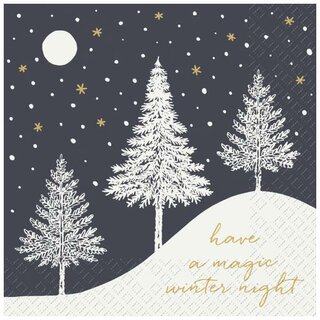 Stewo Servietten Hiver, 33 x 33 cm, schwarz, 20 St�ck