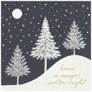Stewo Servietten Hiver, 33 x 33 cm, schwarz, 20 St�ck