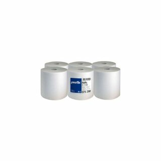 Papierhandtuchrolle Temca Racon 75290, 2-lagig, 20 cm x...