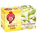 Teekanne Tee Harmonie Frisch und Munter, 20 Beutel