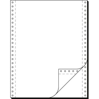 Endlospapier 2fach, 304,8 x 240mm, blanko, LP, 1000 Blatt