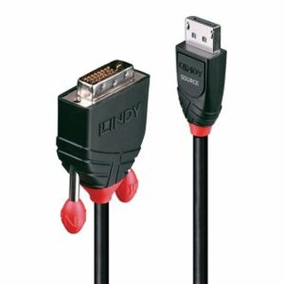 Lindy Kabel 41491, DisplayPort/DVI-D - Stecker/Stecker, 2m, schwarz