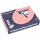 Clairefontaine Kopierpapier Trophee Pastell A4 160g...
