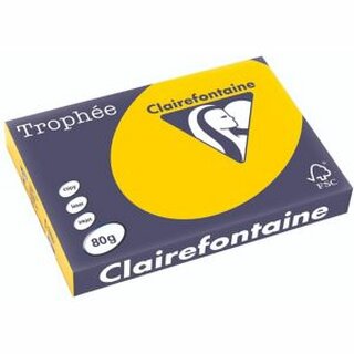 Clairefontaine Kopierpapier Trophee Pastell goldgelb A3 80g 500 Blatt