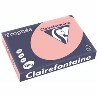 Clairefontaine Kopierp.Color Trophee A4 120g pastell Heckenrose 250 Blatt