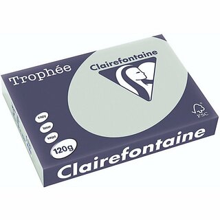 Clairefontaine Kopierpapier Trophee Pastell grn A4 120g 250 Blatt