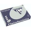 Clairefontaine Kopierpapier Trophee Pastell grün A4 120g...