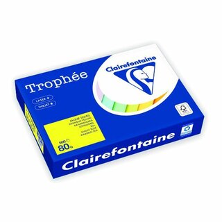 Farbpapier - Trophee - 1877C - A4 - 80 g/m² - matt -...