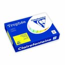 Farbpapier - Trophee - 1877C - A4 - 80 g/m - matt  -...