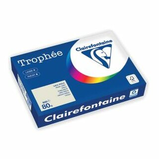 Clairefontaine Kopierpapier Trophee Pastell grau A4 80g 500 Blatt
