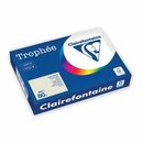 Clairefontaine Kopierpapier Trophee Pastell grau A4 80g...
