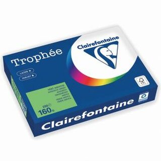Farbpapier - Trophee - 1025C - A4 - 160 g/m - grn - 250 Blatt