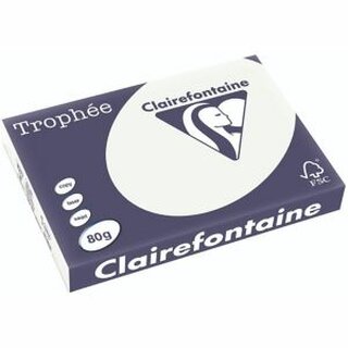 Clairefontaine Kopierpapier Trophee Pastell lindgrn A3 80g 500 Blatt