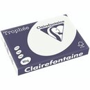 Clairefontaine Kopierpapier Trophee Pastell lindgrn A3...