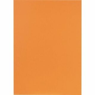 Falken Aktendeckel 80001282F, A4, orange