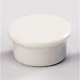 Magnet, rund, Ø: 13 mm, Haftkraft: 100 g, weiß