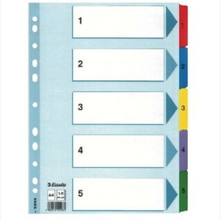 Register Esselte 100160, 1-5, A4, aus Karton, 5 Blatt, weiß