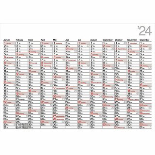 B�hner Plakatkalender DELTA K12, 12 M/1S, 98 x 68,5 cm, 2027