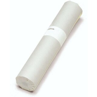 Hahnemhle Skizzenpapier 10 620 005, 640 mm x 20 m, 40/45 g/qm, transparent