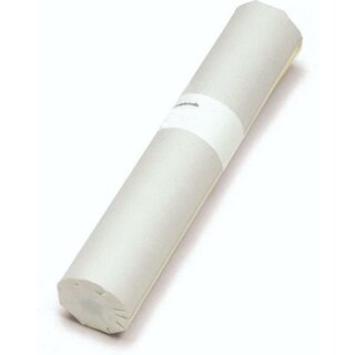 Hahnemhle Skizzenpapier 10 620 002, 330 mm x 20 m, 40/45 g/qm, transparent