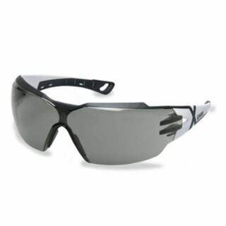 Schutzbrille uvex 9198.237 Pheos CX2, Polycarbonat, klar