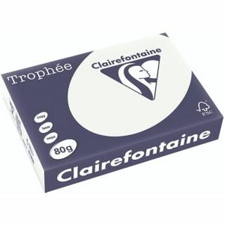 Clairefontaine Kopierpapier Trophee Pastell lindgrn A4 80g 500 Blatt